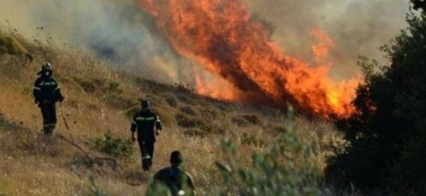 πυρκαγια-ευβοια